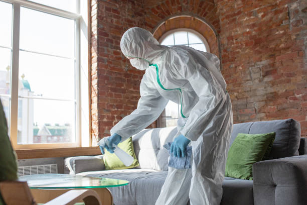 Mold Remediation for Vacation Homes in Ellaville, GA